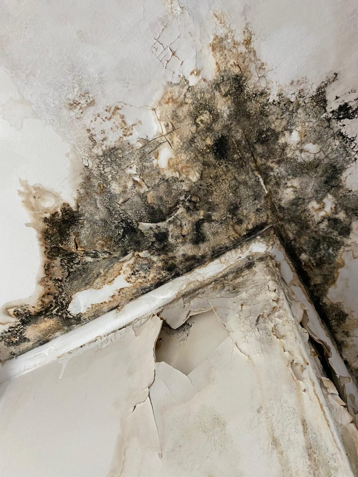 What to Do if Your Landlord Won’t do Repairs NJS Solicitors