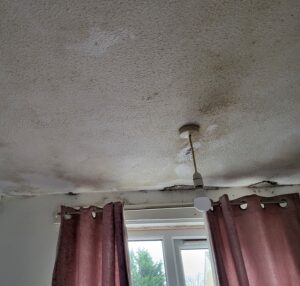 damp_mould_council_house_Can Hurt Your Health