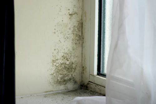The Housing Ombudsman has issued a special report on Birmingham City Council