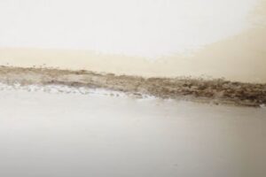 The Government has implemented amendments to the Social Housing Regulation Bill to introduce