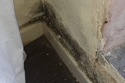 Is Your Council Landlord Ignoring Your Disrepair?