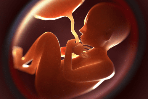 Retained Placenta Negligence Claims