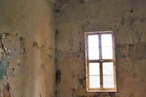 The Impact Of Housing Disrepair On Older People
