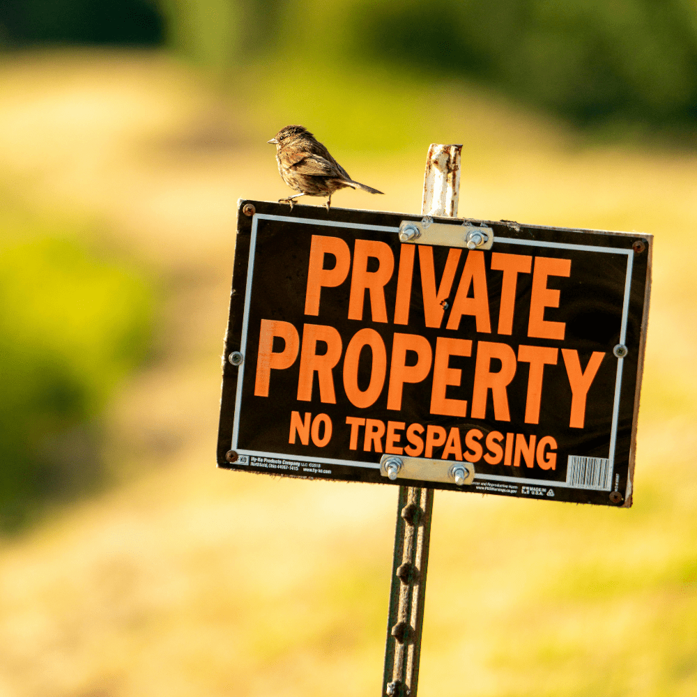 The Occupiers’ Liability Act 1984