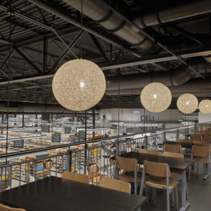 what is occupier liability law in the UK?