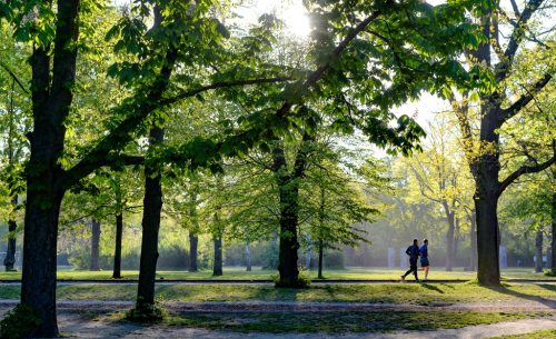 £8,500 Awarded After Child Injured on Faulty Park Equipment
