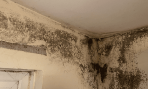 Housing Disrepair Claims — A Complete Guide for UK Tenants