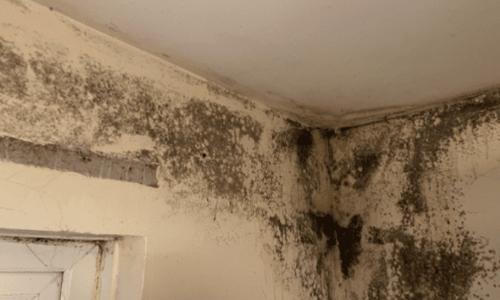Housing Disrepair Claims — A Complete Guide for UK Tenants