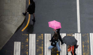 Pedestrian Accident Claims What You Are Entitled To