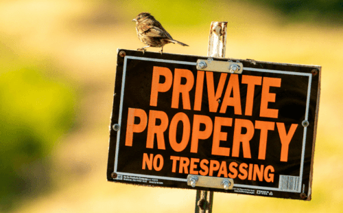 The Occupiers’ Liability Act 1984