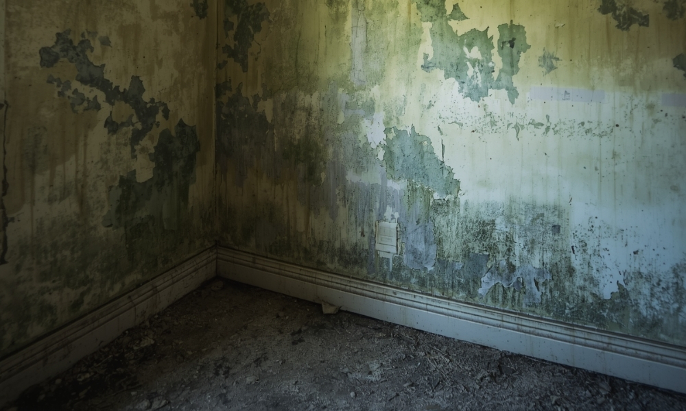 When damp and mould spread into her children's bedrooms and the landlord ignored her, NJS Law secured £5,000 compensation. Find out if your family can claim.